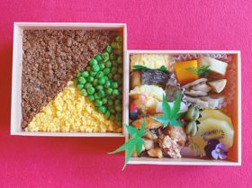 bento_sansyoku.jpg